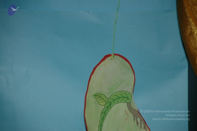 20101001 Photo 1129 1VgFL08sUkbEWCh8V olKucaw93jNyioV.JPG