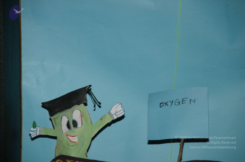 File:20101001 Photo 1136 1Zs465RKw woLkWIdgaQwbR0nNkn2R4dE.JPG