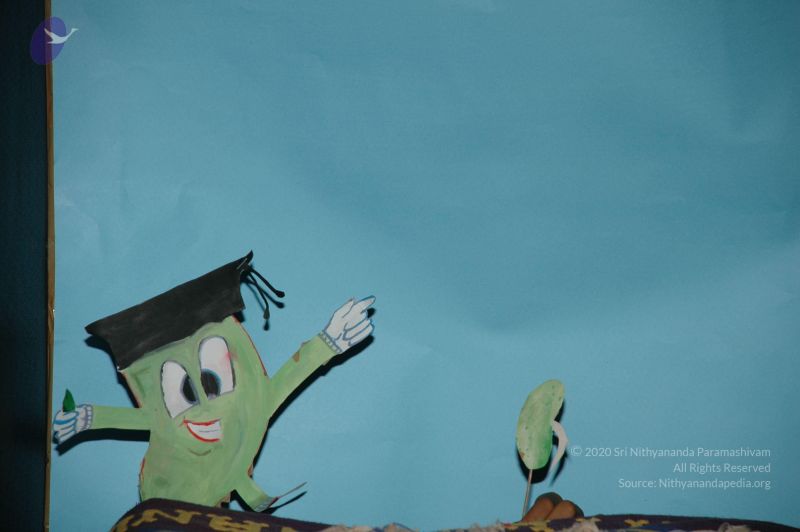 File:20101001 Photo 1144 13auWKvFz-TDR0eyPLuuc0Z2xOHkETYtw.JPG