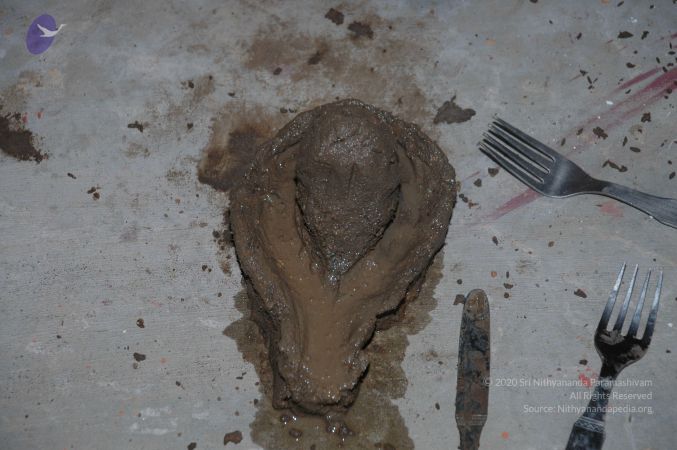 20101001 Photo 1198 1FWqcQ0eH3uQmHs1cuRadJCDSJ10jtBAy.JPG