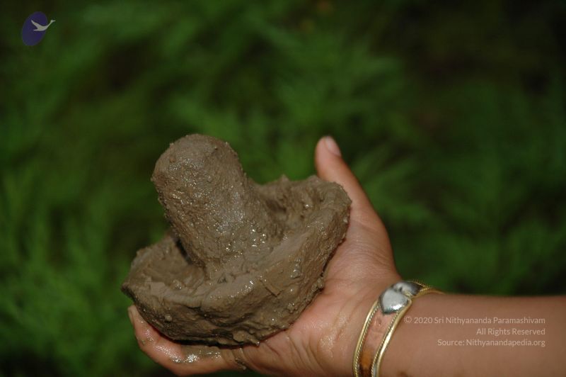 File:20101001 Photo 1223 1K5dBijyTZ-rZnjgrWikxFiU8m5BrbudD.JPG