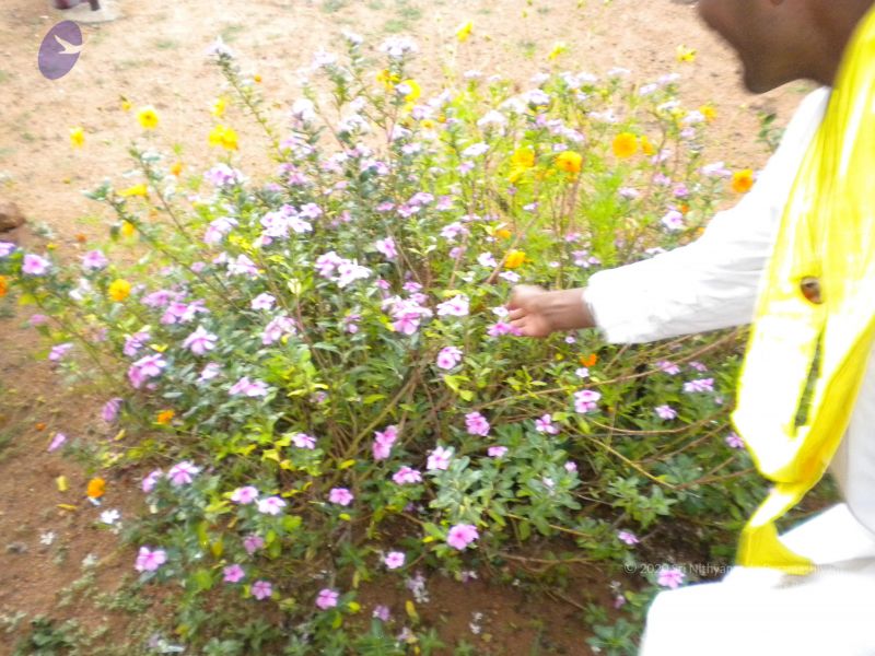 File:20101001 Photo 1246 1OjwlSlrqW1I03HMYAv1hTWACWU04rdaz.JPG