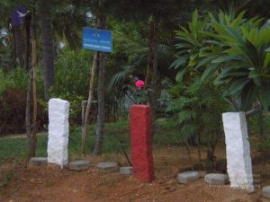 20101001 Photo 1250 1yMe6N7d~tPboIM0rbqky xGPQLkM3I0.JPG