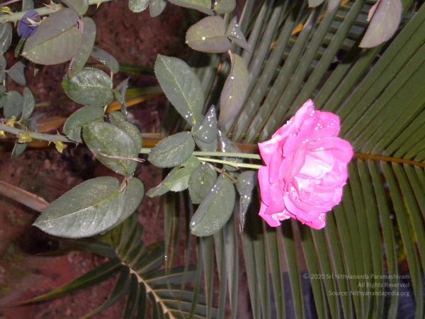 20101001 Photo 1252 1jMuHl8kE SThAYyBL2p3TXNRGyQhdpYG.JPG