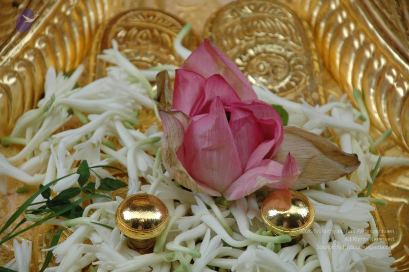 File:20101003 Photo 1077 1yVsLgu0o1Ii5EYjSotYoZPUlPUVfPuk7.JPG