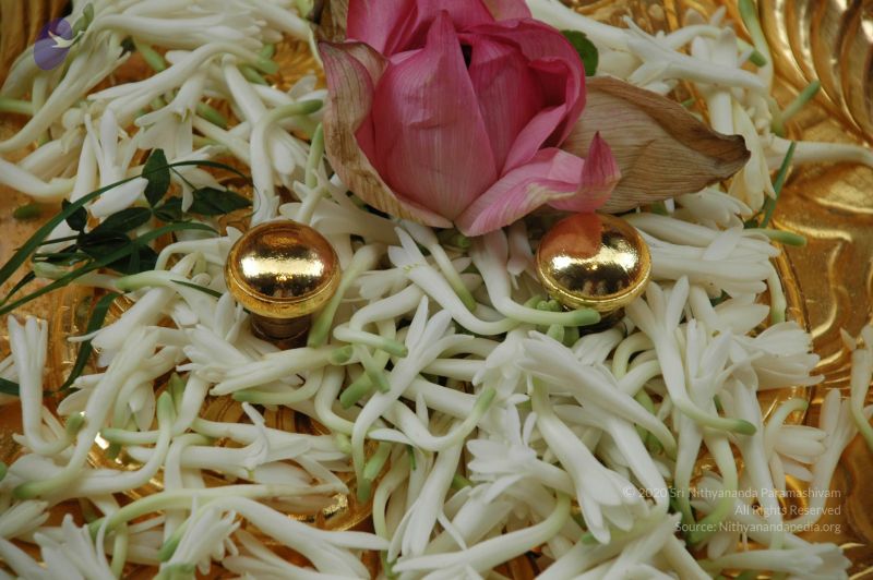 File:20101003 Photo 1078 1FkMhbbmc4pWPkaEfhB3zXvC-bMYCcy6x.JPG