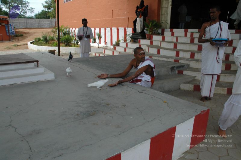 File:20101003 Photo 1095 1MZR 9nig8TlGkqtxLXhHAJVH1iBP13gZ.JPG