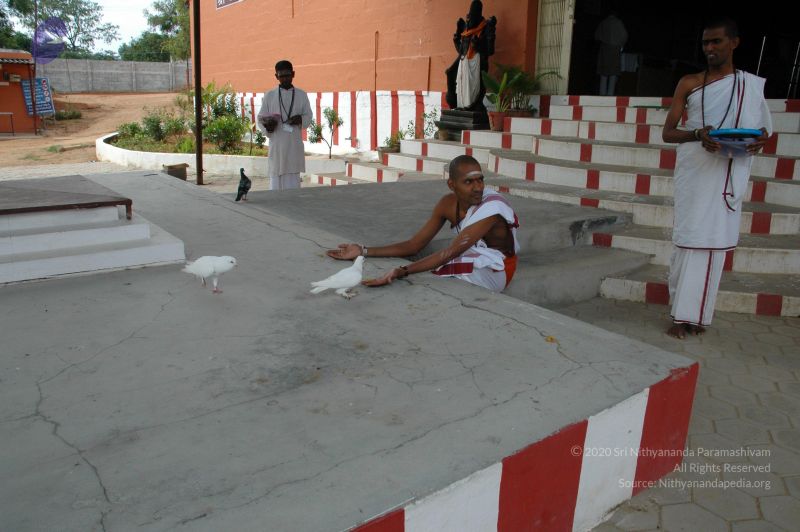 File:20101003 Photo 1096 1VhWAo4ubcPGbbQoAvqODTvBOAWWvhCNn.JPG