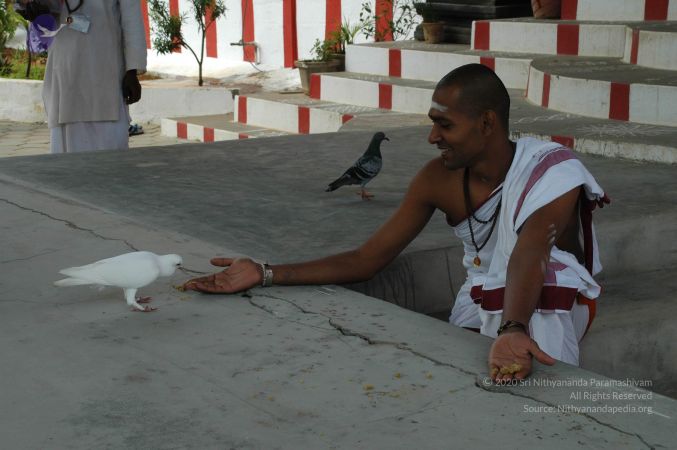 20101003 Photo 1098 1MBnulqgF E0J K66WyXd4qjcQjJHIlqh.JPG