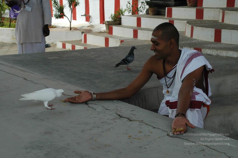File:20101003 Photo 1098 1MBnulqgF E0J K66WyXd4qjcQjJHIlqh.JPG