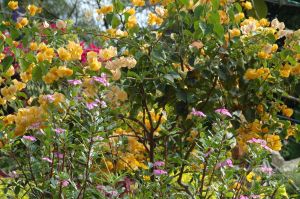 20101003 Photo 1106 1f5Feg1EjqhASEZick28VbDyQLEPLMQIU.JPG