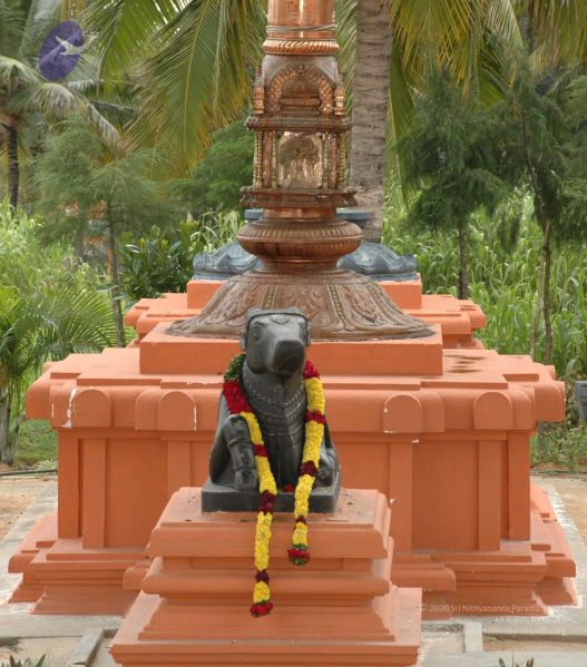 File:20101003 Photo 1174 1RHCdvIyhObtClviy95TVzp3p2CKB9yhQ.JPG