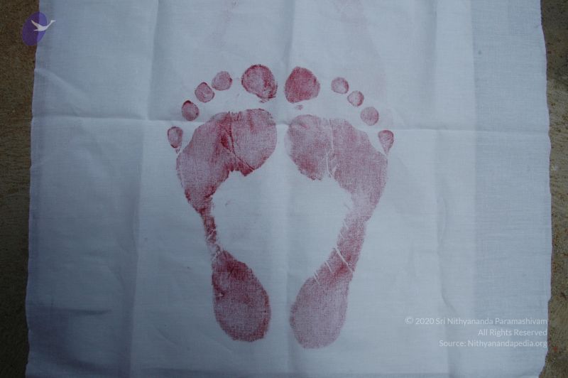 File:20101004 Photo 1059 1yp15cYaJ3r4xfnqeH9y5ML2pQz VUNtS.JPG