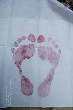 20101004 Photo 1061 1cqk6neq- 4J5ArHjwwEomVVPq1j4z3j8.JPG