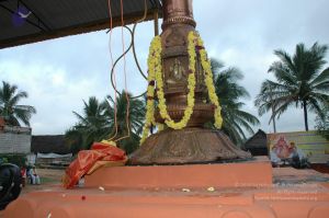 20101007 Photo 1115 1dJs4Csq50mz7mQx9XQLIQqCnRqzEA0aI.JPG