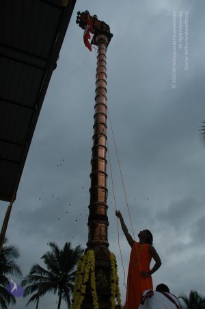 20101007 Photo 1145 182m3c5MmJ712yQVqi71Xqdfln4oCV7hp.JPG