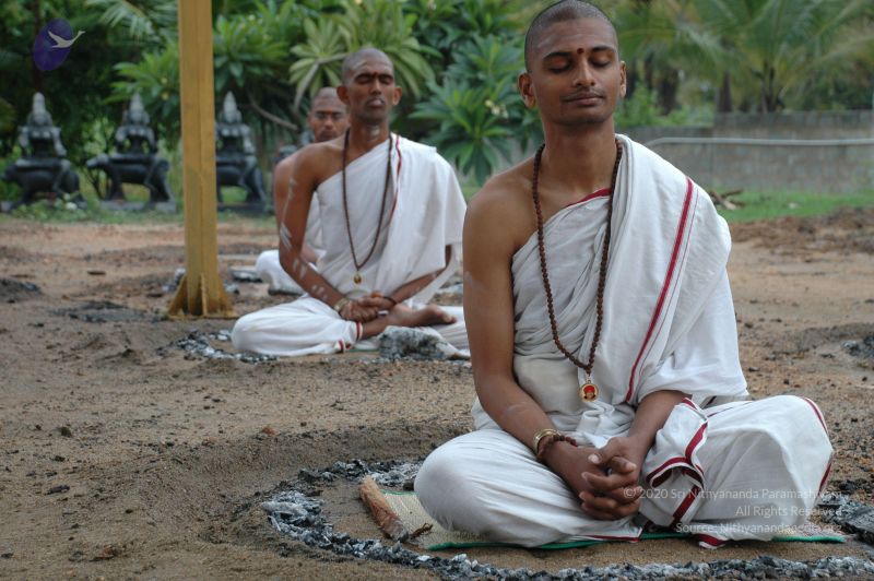 File:20101007 Photo 1286 1gR41u57qZbkm8SvO3py1Sxmv0-hO107 .JPG