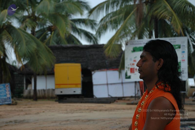 File:20101007 Photo 1330 199tTSXz2uhjxZNklb9wZ3i N3nG3be1N.JPG