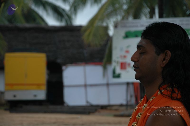 File:20101007 Photo 1331 1uVOazMkbsFOqlFXV DEsDPqzl21-995s.JPG