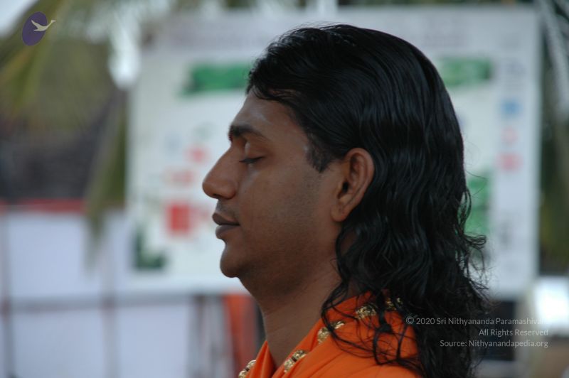 File:20101007 Photo 1332 1ST9fNo6TDsssSbaziMVHllhUlGAqkYlf.JPG