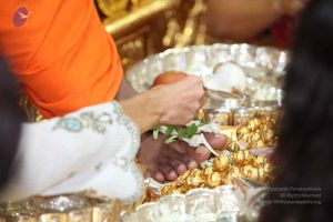 20101008 Photo 1073 1gPsO8PHNN5sCW3rscyvBgxahcFZ1Xn2n.JPG