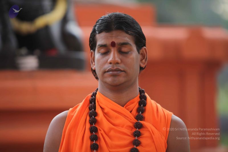 File:20101008 Photo 1276 18GFH75y7-r6 Y8XKrXcSiMF5HF56T2Vz.JPG