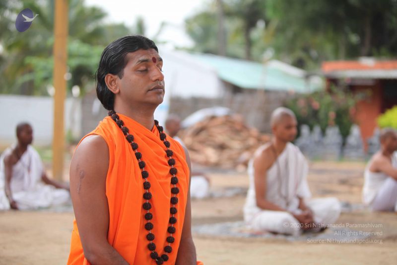 File:20101008 Photo 1280 1DbRxaVzYC03ld5FXk w19TAXF1MxG6Ck.JPG