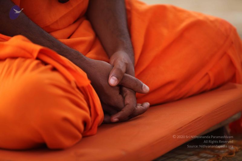 File:20101008 Photo 1283 1ukxFF-D5aVuoXo0lSpVga8QZccyoetuU.JPG