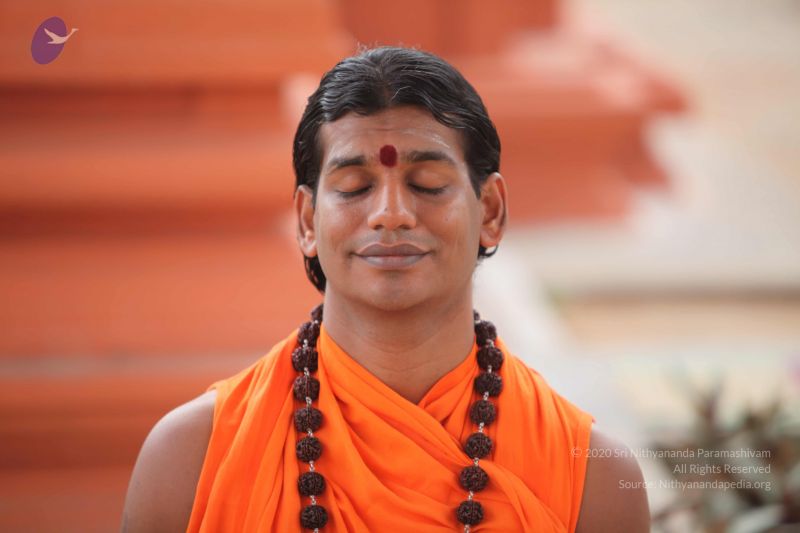 File:20101008 Photo 1285 1232zHpWv2RGLd0I7URDCPx6PCA9YvPJ2.JPG