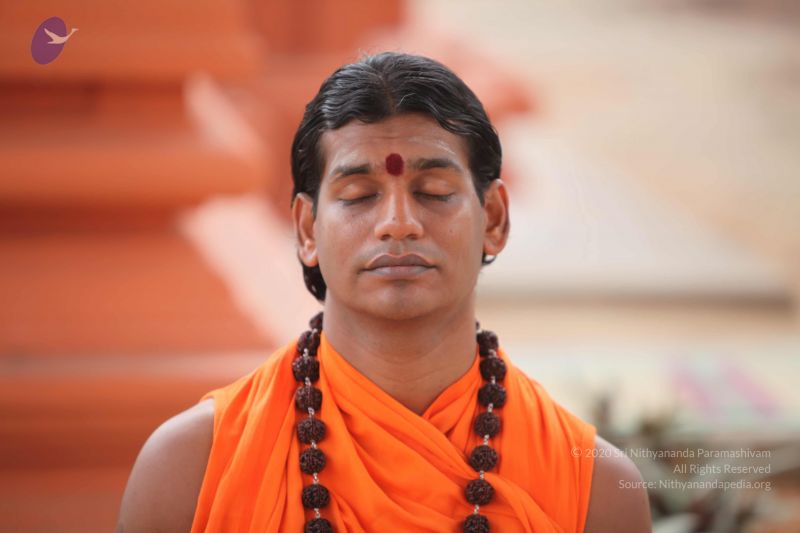 File:20101008 Photo 1290 1lB-NdVcYPR7w7XNSGWNorJ0e1arPYefe.JPG