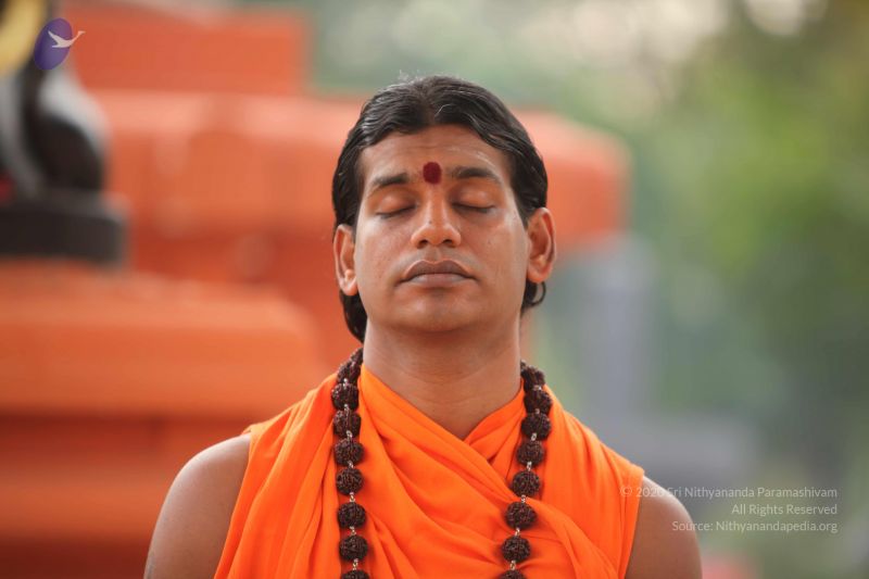 File:20101008 Photo 1293 1nx3rUcixKP9eWc0JuiLlGkdcrnllhVeO.JPG