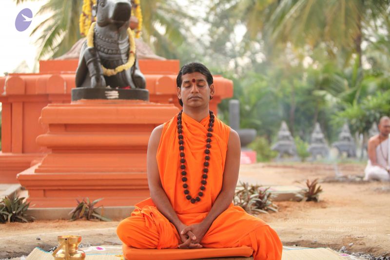 File:20101008 Photo 1295 1EOLBe5zkc4hjKeNd2DZ5GTNsq2qD9Z8z.JPG