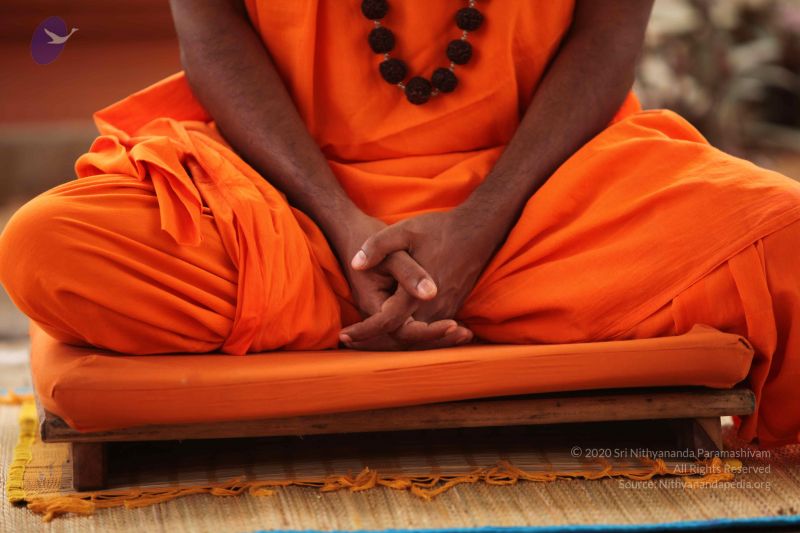 File:20101008 Photo 1296 1Lr3ohBRTO035uC4VNCRTW7 URseX6j8v.JPG