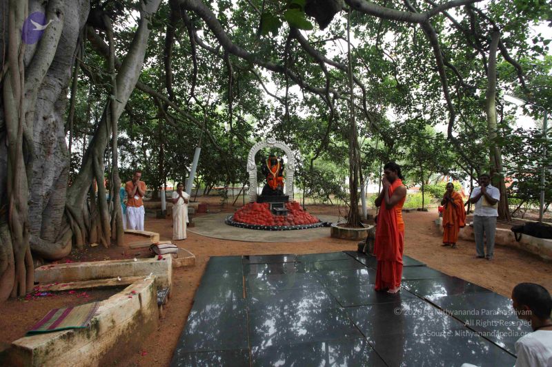 File:20101009 Photo 1005 14mMOrrTbyzFQHrpiSOiGf hL6KmRoNCN.JPG