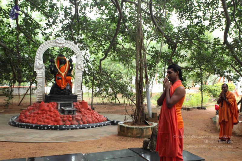 File:20101009 Photo 1006 1xTEVKOBE6mCvuE76UpDcOyDwg8zm qdv.JPG