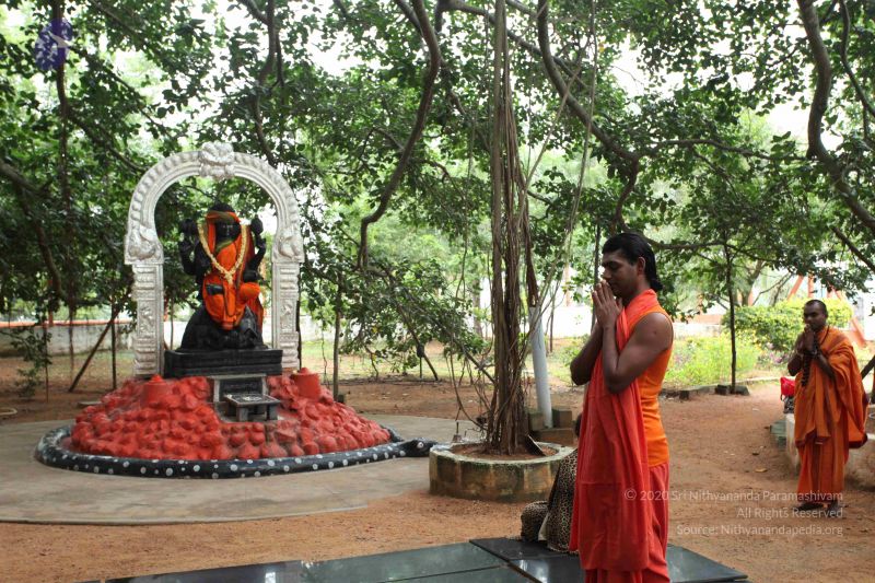 File:20101009 Photo 1007 1vHCjgN R45YubfUx6jB HFDxLErcK21o.JPG