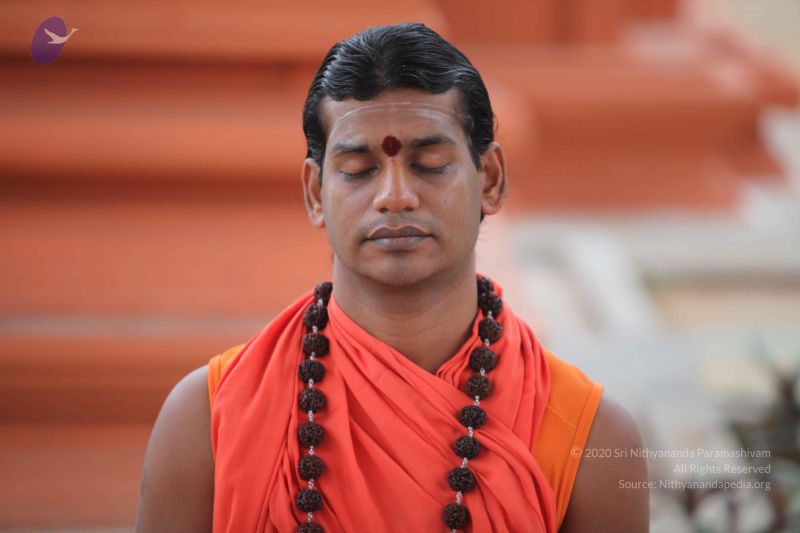 File:20101009 Photo 1081 1V6vsEBFGe4J3GvZYKu-sxQeuI8L0rUpF.JPG