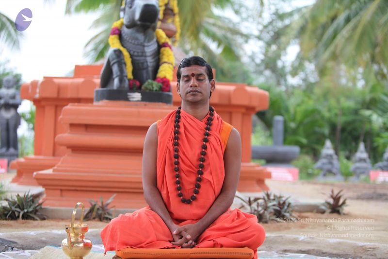 File:20101009 Photo 1082 1uJyCGK2WmGPYYzmpJTHG ssqsN4vUzMM.JPG