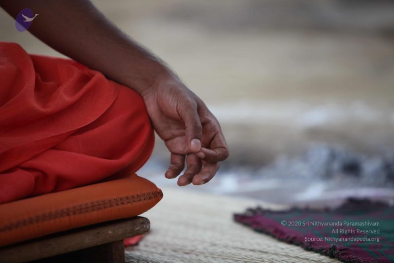 File:20101009 Photo 1088 1AKWvCKV n7eiyamKS2ilVqmym-F1V3qL.JPG