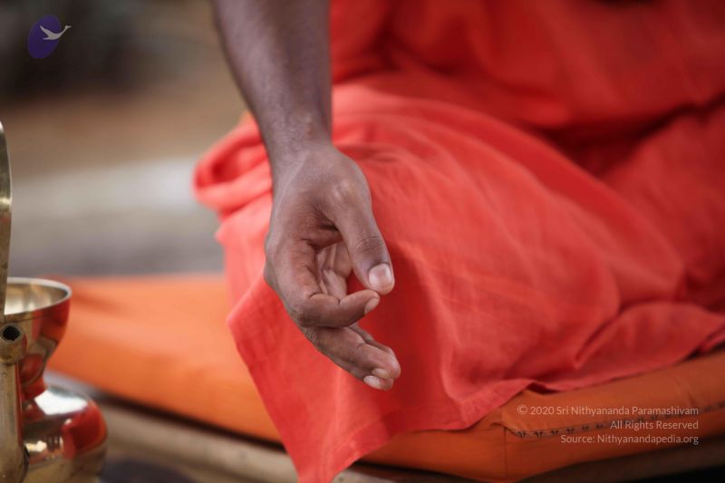 File:20101009 Photo 1089 1aXlnRhRJ9bWjv976DYMX rxgygAg jz9.JPG