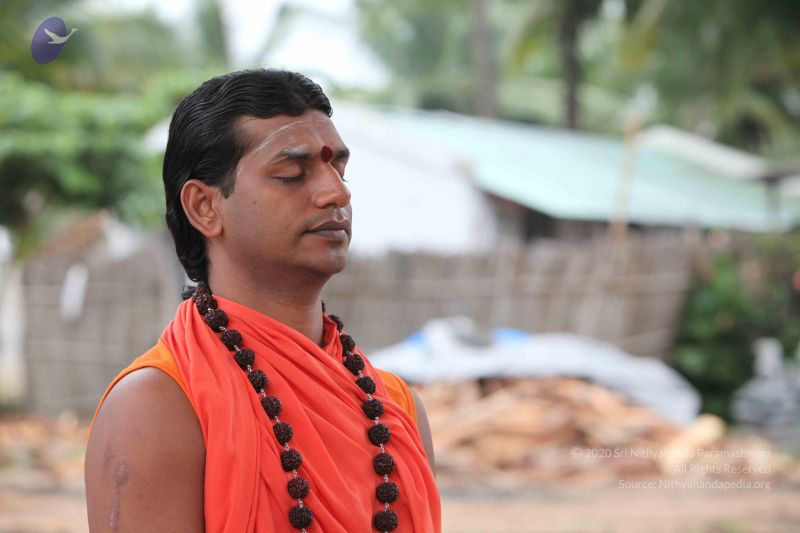 File:20101009 Photo 1113 15pL-66Aba8v3YDuvNA6h9ThjeXd8LyuX.JPG