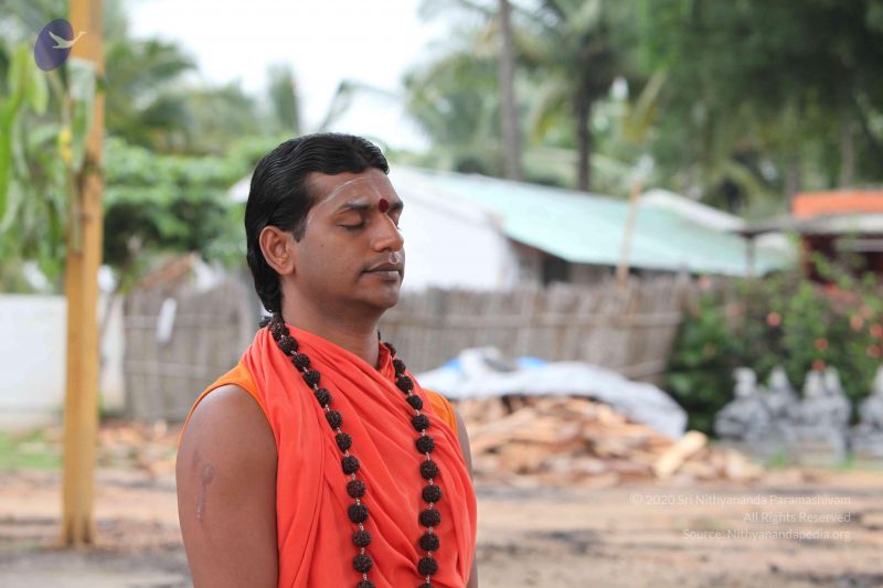 File:20101009 Photo 1114 1MAo5Ynev 6IFCeR05VSE6YI9QpNI8va8.JPG