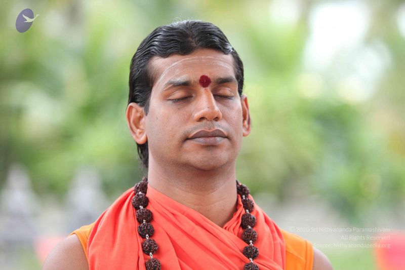 File:20101009 Photo 1120 1 AibWZtiGMLh86a 3-Bu7ZbO58pfqeHc.JPG