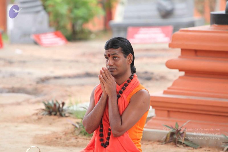 File:20101009 Photo 1134 1wBhYKtBKBomhjg-FSnSND1P3NYp42qos.JPG