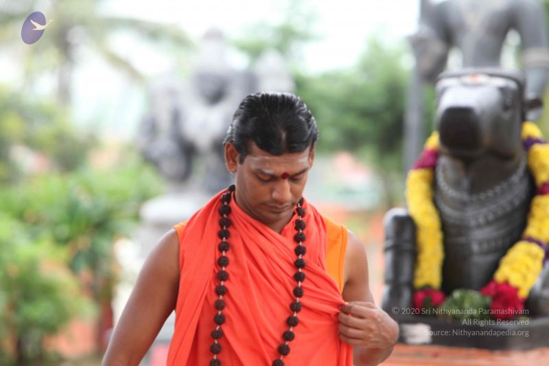 File:20101009 Photo 1143 1Qigw6QZckwVLqFr jllrRaEpuuncrhZH.JPG