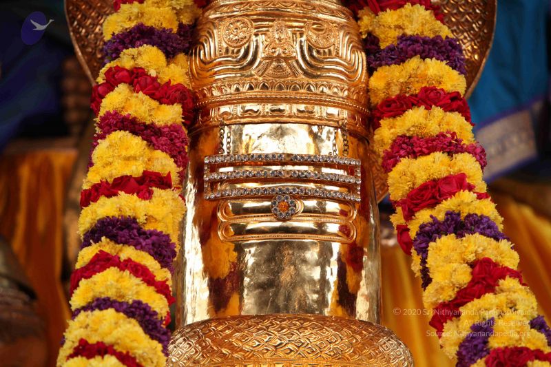 File:20101009 Photo 1176 1gNDhdFv7p146S8ZTik8uFVgv8A9ncK6D.JPG