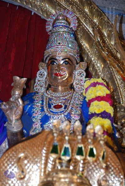 File:20101009 Photo 1463 125KGVHg6HWJ7hZs5EMF75jF2AOuB5i7d.JPG