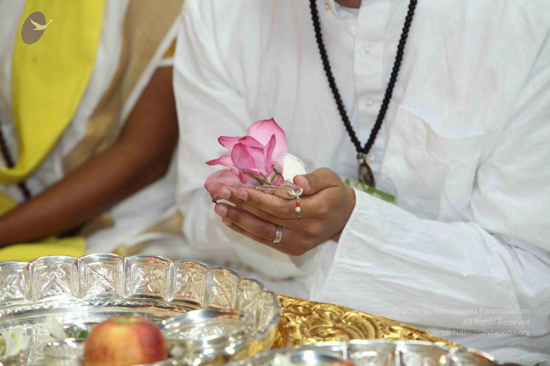 File:20101010 Photo 1060 1JcAPVfvGRXD-sCHFJ9kowivPE0oEug1Q.JPG