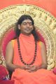 Thumbnail for version as of 02:01, 1 June 2021
