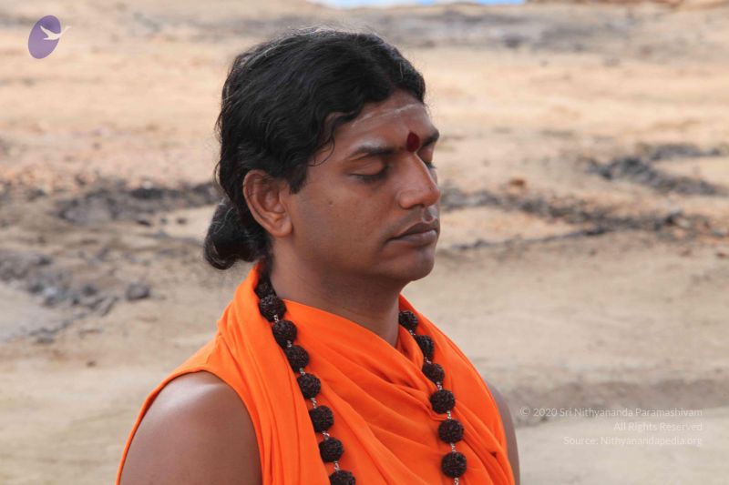 File:20101011 Photo 1249 1cemZlOLwx8frmz8el0zV-S8IaB31sSgJ.JPG